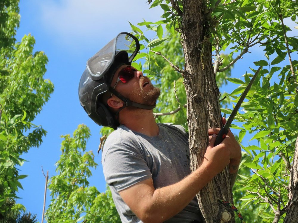 An arborist in a helmet and glasses pruning a branch with a hand saw