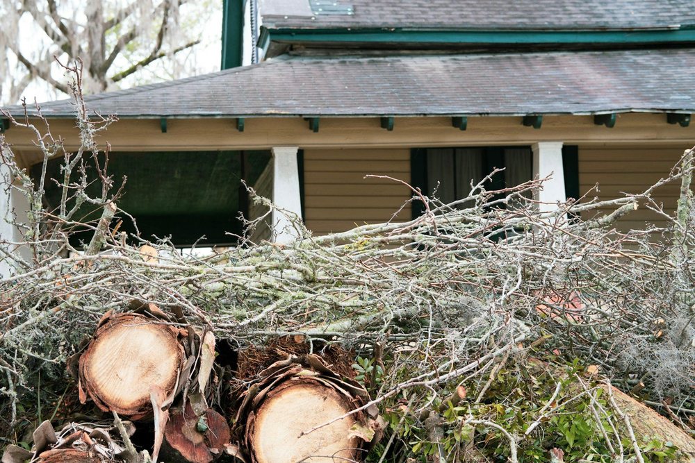 Cut logs and brush stacked beside a house after a tree removal